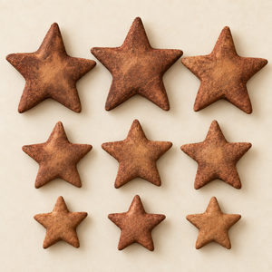 Handmade Cinnamon-Dipped Salt Dough Stars — Set of 9
