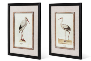 Coastal Heron Framed Prints, 2 Assorted Styles
