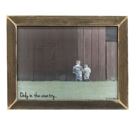 *Only In The Country Framed Print