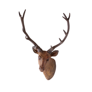 Mounted Red Deer Head