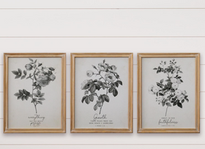 Framed Botanicals with Bible Verses /set of 3