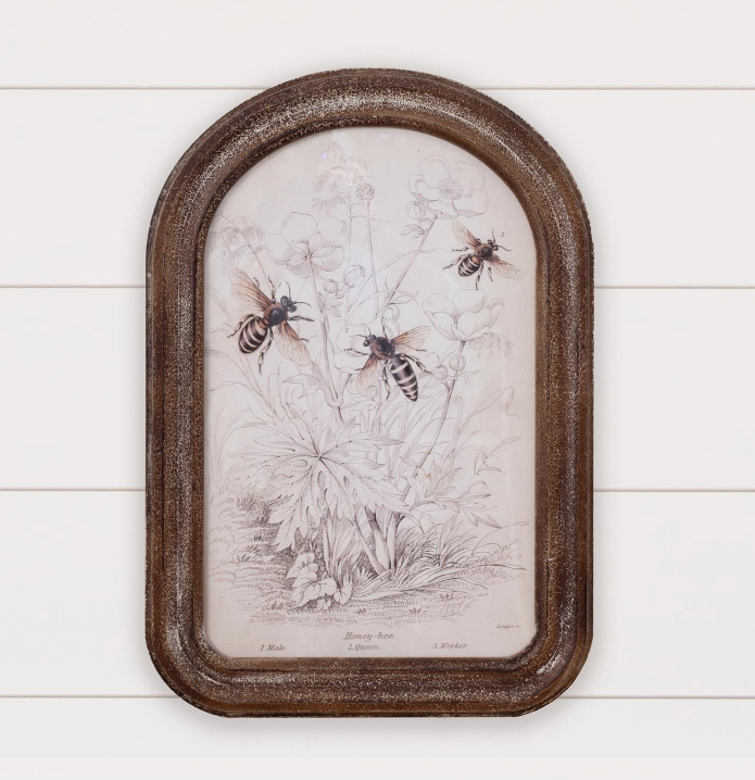 Framed Bee Print