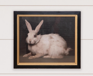 Framed Rabbit Print