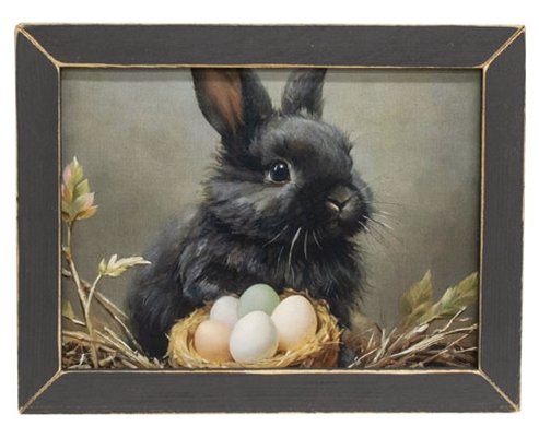 Ebony and Eggs Framed Print