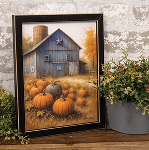 Pumpkin Patch Blues Framed Print