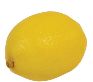 *Artificial Lemon Fillers, set/5