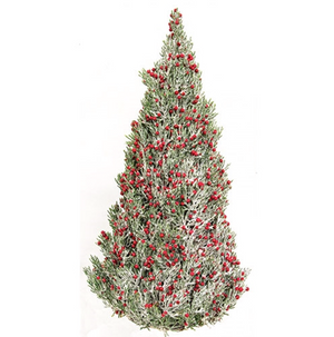 Frosted Pepper Berry Tree