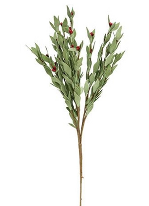 Red Pip & Herb Spray – 20”
