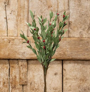Red Pip & Herb Spray – 20”