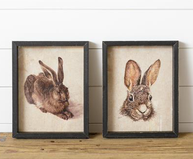 *Impresiones de conejos enmarcadas