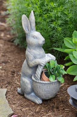 *Garden Bunny