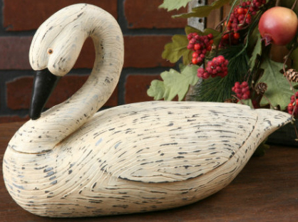 Amigos emplumados - Ganso