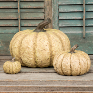 Short Autumn White Pumpkins