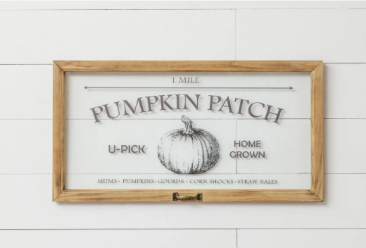 Pumpkin Patch Window