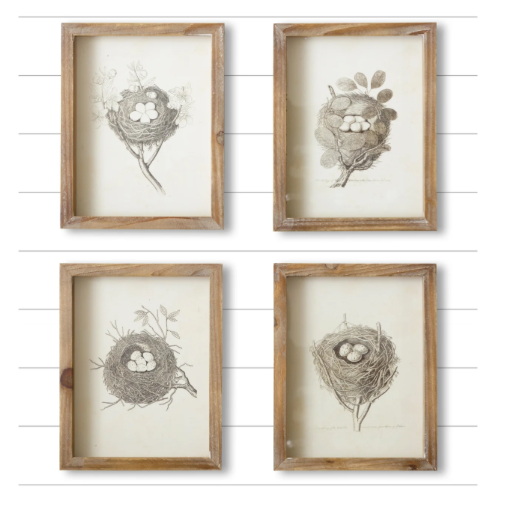Nests Framed Prints
