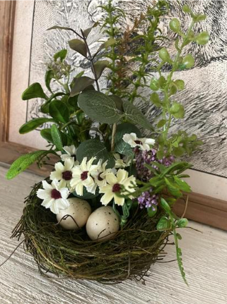 *Nid d'oiseau de joyaux de la nature 