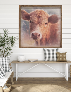 Daisy, Cow Portrait